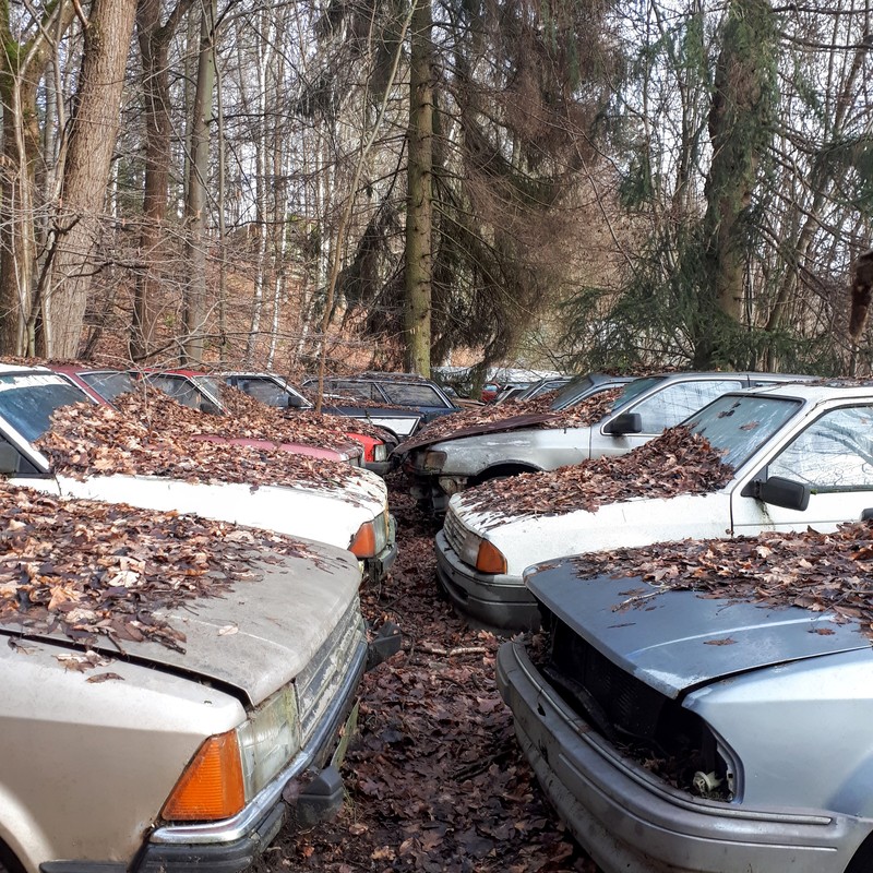 Ilustrační fotografie z Údolí mustangů